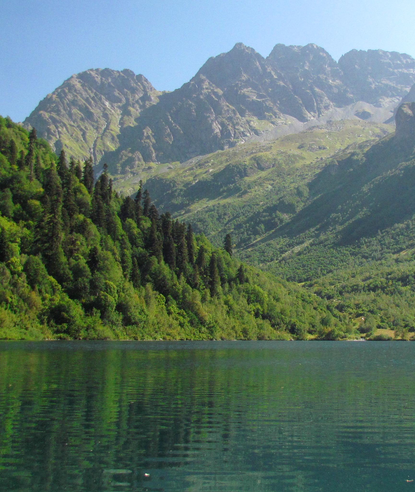Фонд сохранения биологического разнообразия и природных территорий Дикая природа Кавказа
